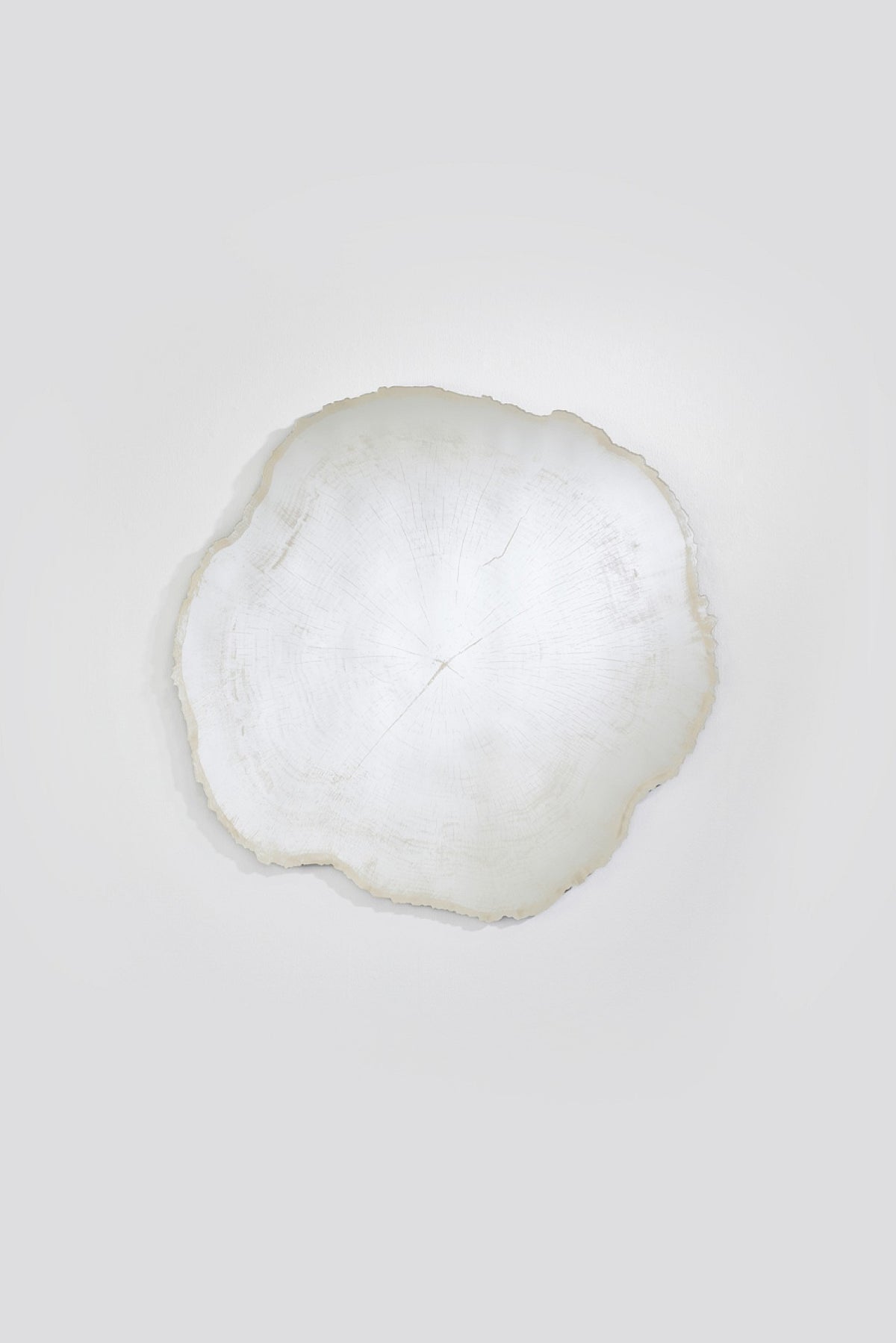 Arbo Ice M