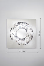 Torus