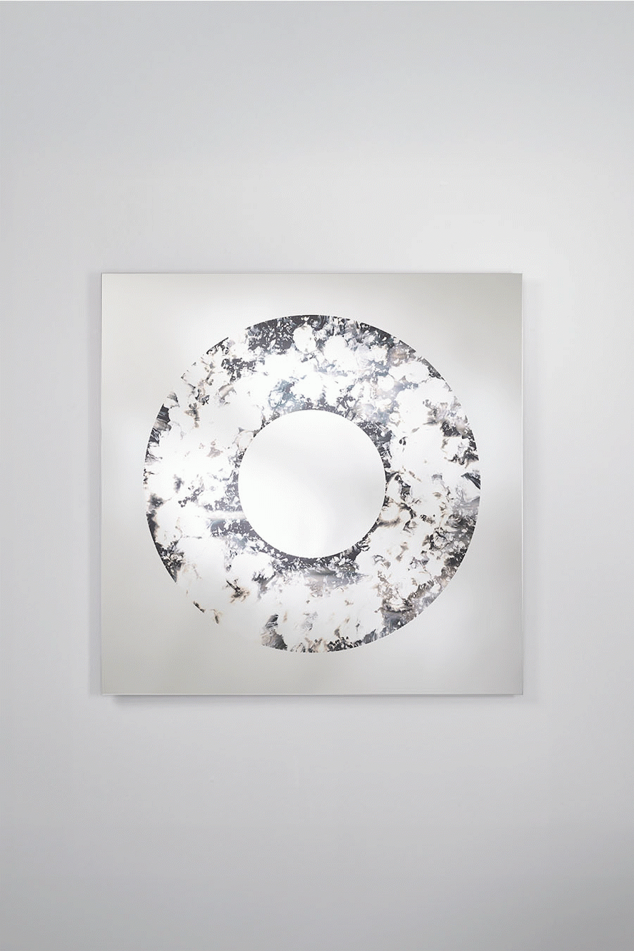 Torus